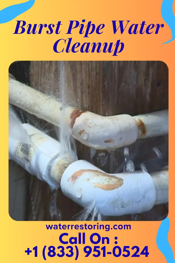 Burst Pipe Water Cleanup in Loami, IL