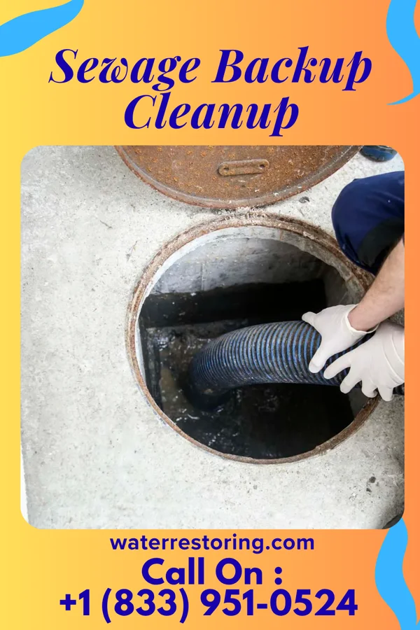 Sewage Backup Cleanup in Loami, IL